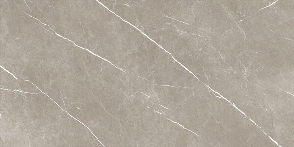 Eternal Taupe Natural 60x120 R