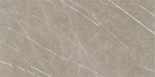 Eternal Taupe Natural 60x120 R