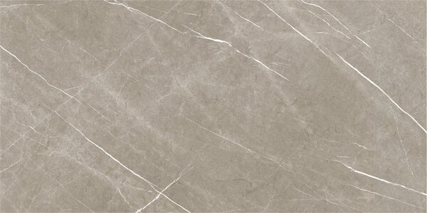 Eternal Taupe Natural 60x120 R