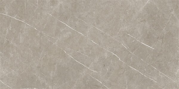 Eternal Taupe Natural 60x120 R