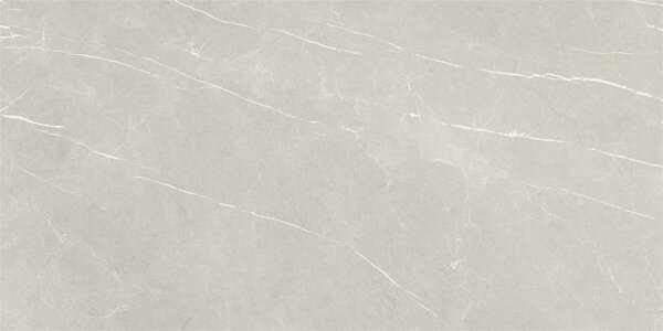 Eternal Pearl Natural 60x120 R