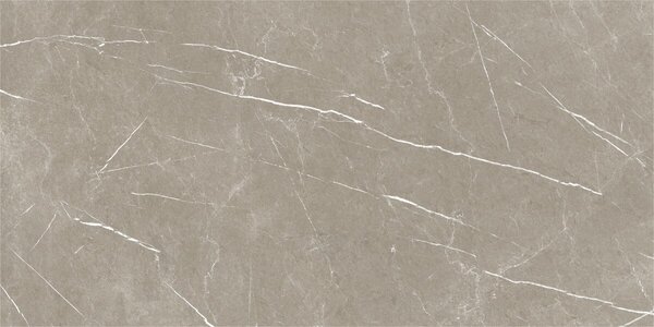 Eternal Taupe Natural 60x120 R