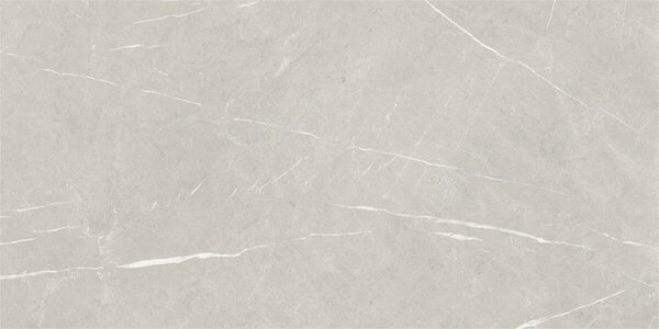 Eternal Pearl Natural 60x120 R