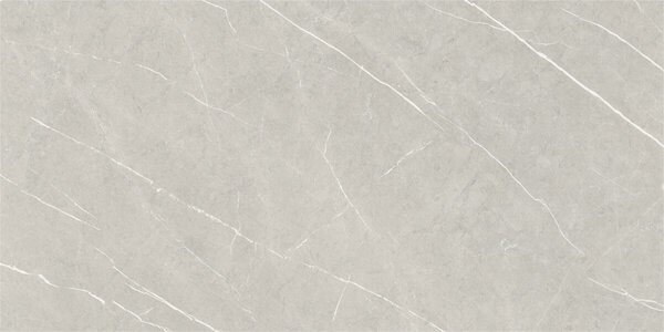 Eternal Pearl Natural 60x120 R