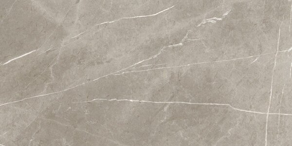 Eternal Taupe Natural 60x120 R