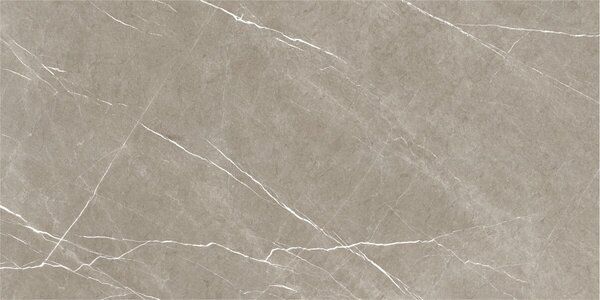 Eternal Taupe Natural 60x120 R