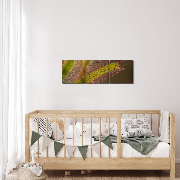 Obraz rastliny (s hodinami) (90x30 cm)