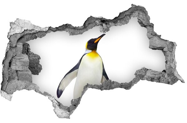 Diera 3D fototapeta na stenu nálepka Tučniak nd-b-59348064