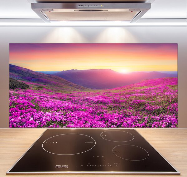 Panel do kuchyne Ružové kopca pl-pksh-120x60-f-72586785