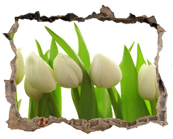 Samolepící nálepka na zeď Biele tulipány nd-k-40774671