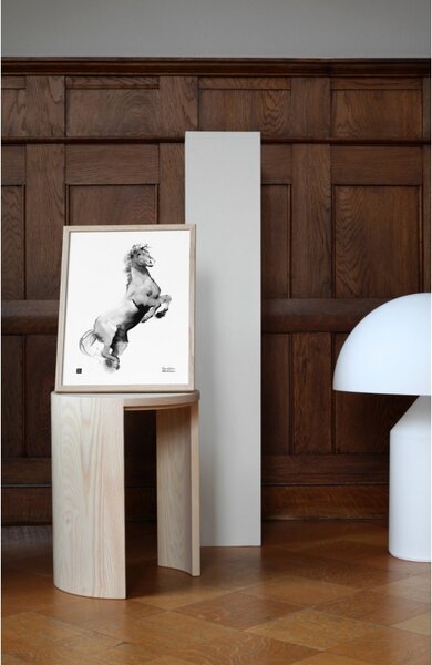 Teemu Järvi Plagát Horse 30x40