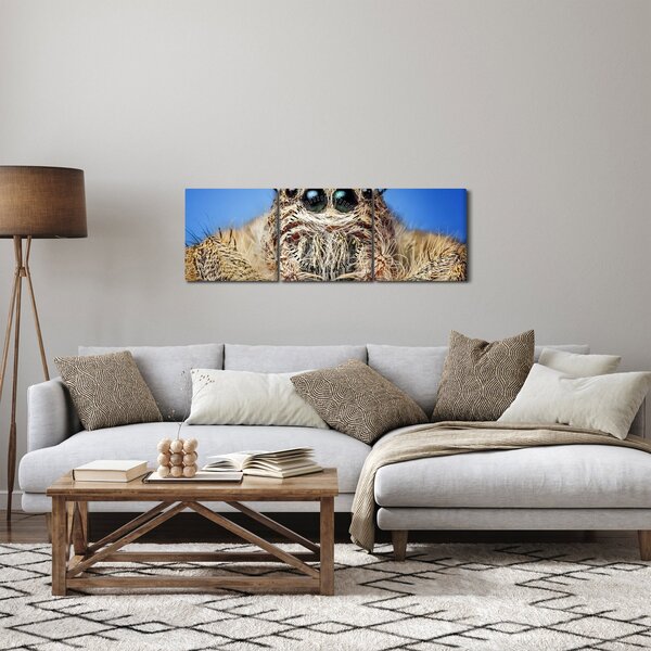 Obraz detailu pavúka (s hodinami) (90x30 cm)