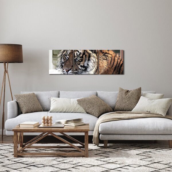 Obraz tigra (s hodinami) (90x30 cm)