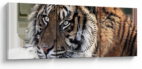 Obraz tigra (s hodinami) (90x30 cm)