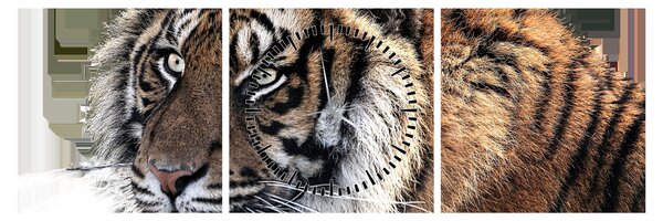 Obraz tigra (s hodinami) (90x30 cm)