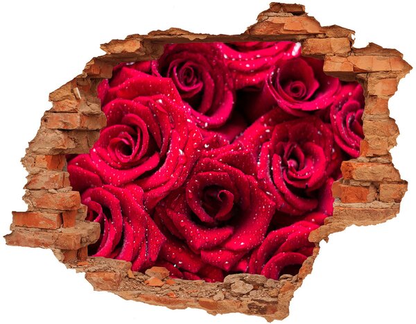 Nálepka diera na stenu Kvapky na ružiach nd-c-122317792