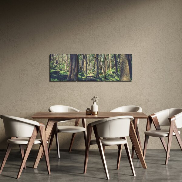 Obraz cesty medzi stromami (s hodinami) (90x30 cm)