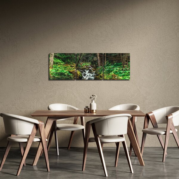 Obraz potoka v lese (s hodinami) (90x30 cm)