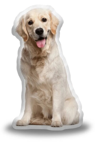 Sablio 3D vankúš Zlatý retriever 33×50cm