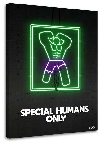 Obraz na plátne Hulk neon - Rubiant Rozmery: 40 x 60 cm