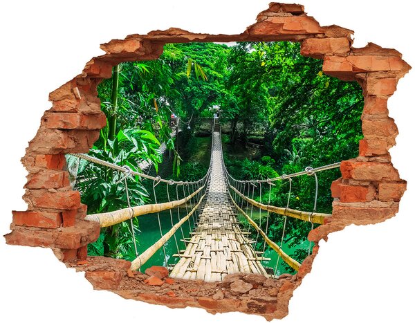 Diera 3D v stene nálepka Najväčší dažďový prales
