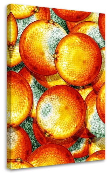 Obraz Pomaranče - Rubiant Veľkosť: 40 x 60 cm, Prevedenie: Obraz na plátne