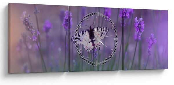 Obraz - Motýľ v levanduli (s hodinami) (90x30 cm)