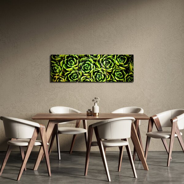 Obraz skalníc (s hodinami) (90x30 cm)