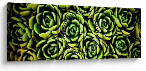 Obraz skalníc (s hodinami) (90x30 cm)