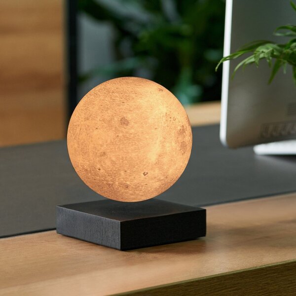 Čierna svetelná dekorácia do zásuvky ø 12 cm Moon – Gingko