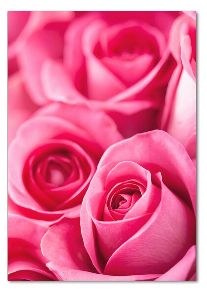 Foto obraz sklo tvrdené Ružové ruže