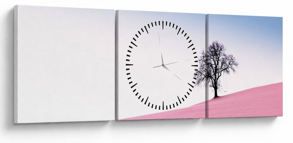 Obraz - Ružový sen (s hodinami) (90x30 cm)