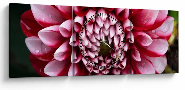 Obraz ružovej Dahlie (s hodinami) (90x30 cm)
