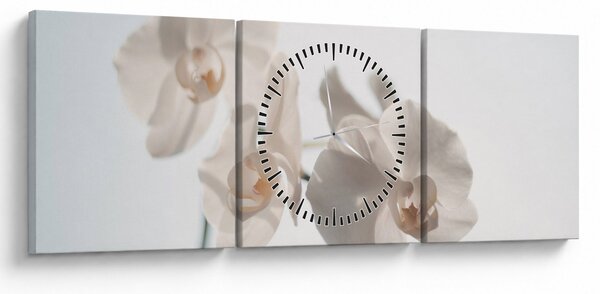 Obraz bielej orchidey (s hodinami) (90x30 cm)