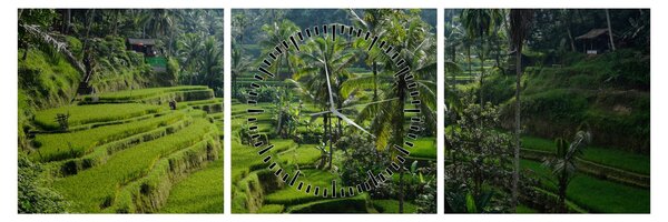 Obraz ryžových terás Tegalalang, Bali (s hodinami) (90x30 cm)