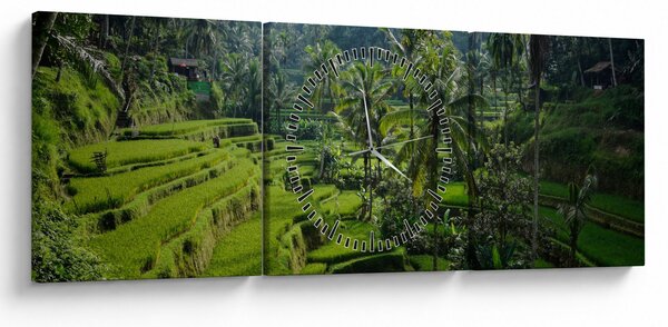 Obraz ryžových terás Tegalalang, Bali (s hodinami) (90x30 cm)