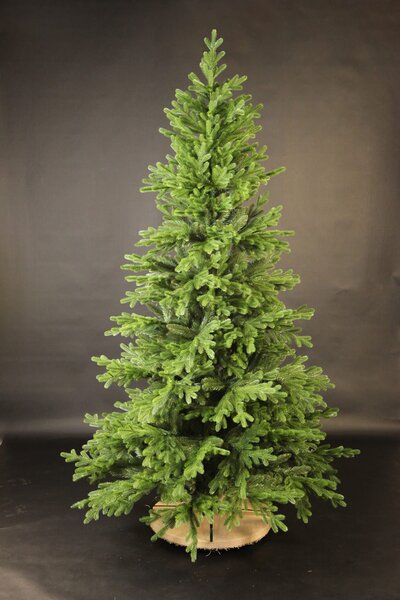 Smrek Tirolský 3D- 230cm