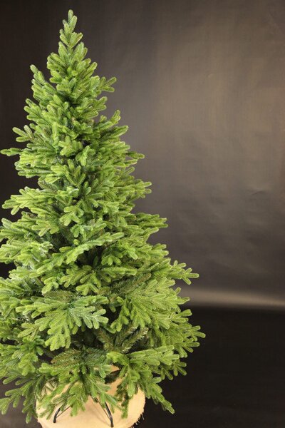 Smrek Tirolský 3D- 200cm