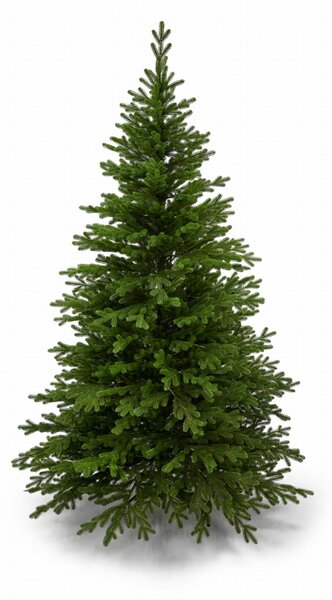 Smrek premium 100% 3D- 200cm
