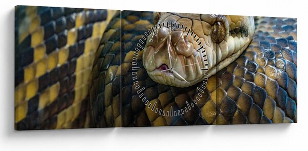 Obraz - Pytón (s hodinami) (90x30 cm)