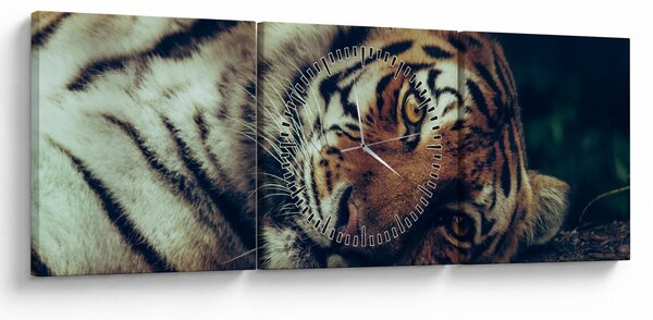 Obraz - Tiger Sibírsky (s hodinami) (90x30 cm)
