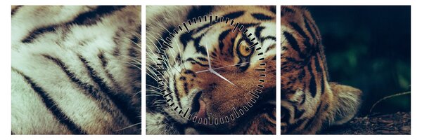 Obraz - Tiger Sibírsky (s hodinami) (90x30 cm)