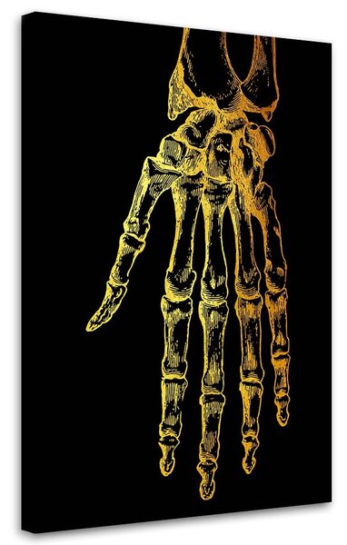Obraz na plátne Zlatá anatómia, ruka - Gab Fernando Rozmery: 40 x 60 cm