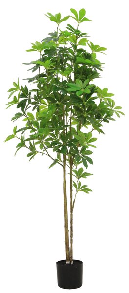 UMELÁ RASTLINA bonsaj 150 cm Ambia Home - Kvety & kvetináče