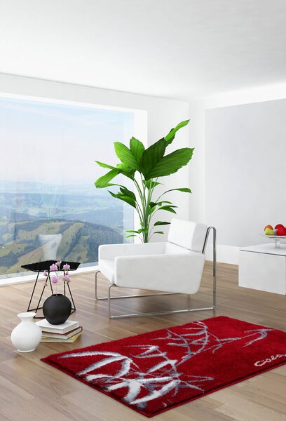 GRUND Kúpeľňový koberec Colani 23 červený Rozmer: 60x100 cm