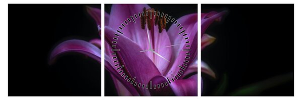Obraz ľalia (s hodinami) (90x30 cm)