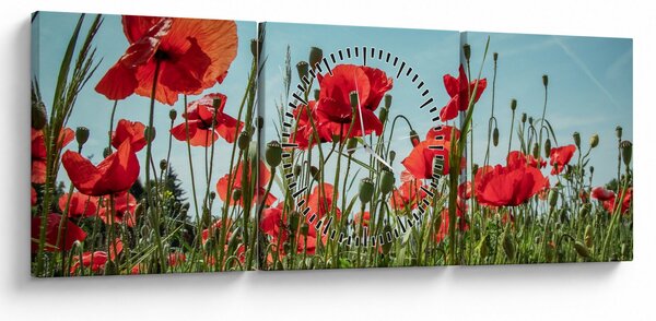 Obraz - Na poli vlčích makov (s hodinami) (90x30 cm)