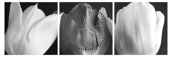 Obraz - Čiernobiele kvety tulipánov (s hodinami) (90x30 cm)