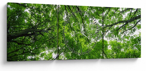 Obraz - Pohľad do korún stromov (s hodinami) (90x30 cm)