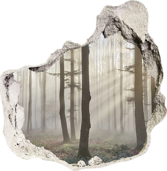 Diera 3D fototapety nálepka Hmla v lese nd-p-98968412